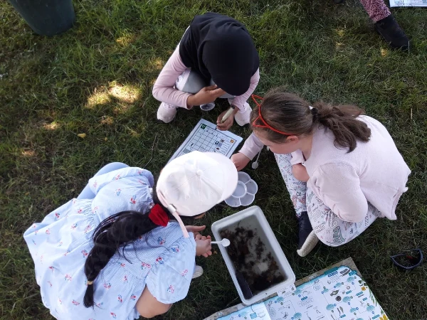 Learning about the river