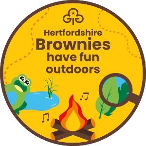 Brownies have fun badge