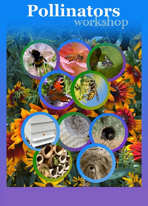 Pollinators poster
