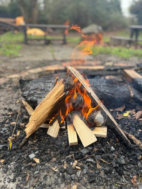 Traitors themed activity image 6