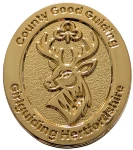County Good Guiding award brooch