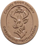 County Good Service award brooch