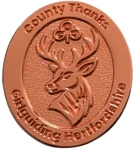 County Thanks award brooch